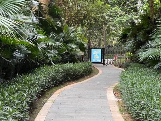 iphone 13 pro 3x (2)