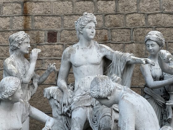 iphone 13 pro 3x (4)