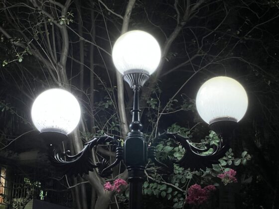 iphone 13 pro 3x (6)