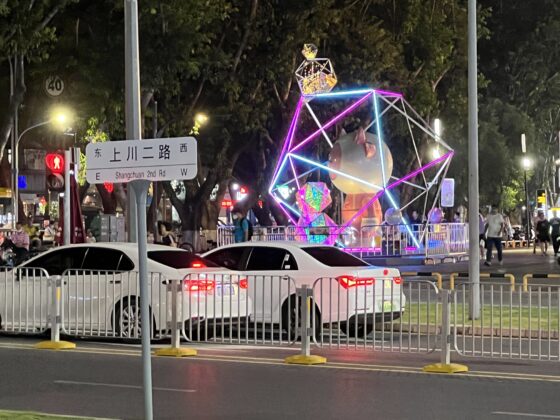 iphone 13 pro 5x (3)