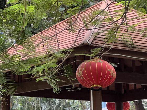 iphone 13 pro 5x (4)