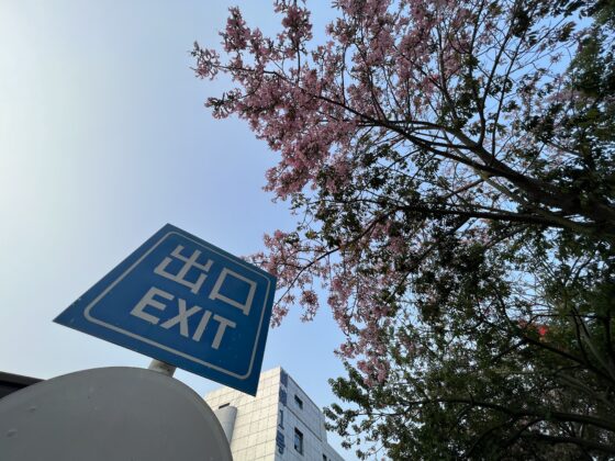 iphone 13 pro UW (1)