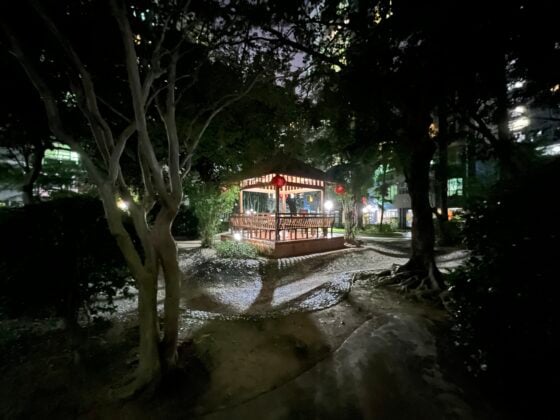 iphone 13 pro UW (11)