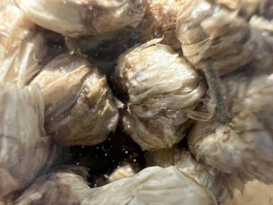 iphone 13 pro macro (2)