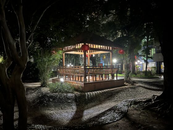 iphone 13 pro main (14)