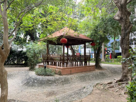 iphone 13 pro main (16)