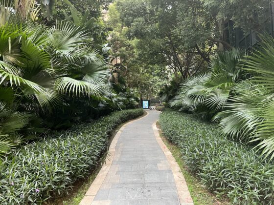 iphone 13 pro main (4)