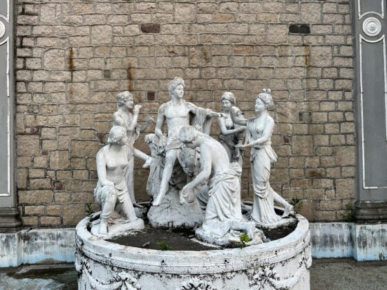 iphone 13 pro main (5)