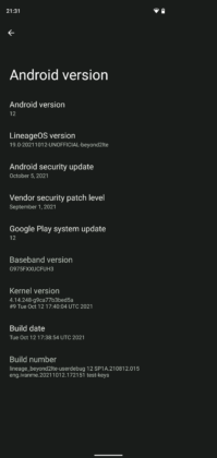 samsung galaxy s10 android 12 custom rom 3