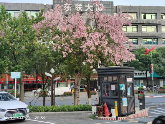 vivo x70 pro plus 2x (1)