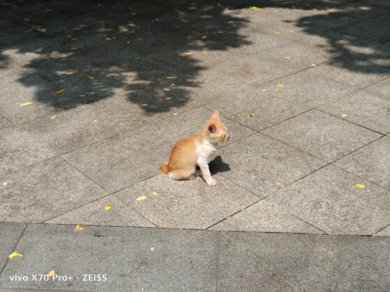 vivo x70 pro plus 2x (13)