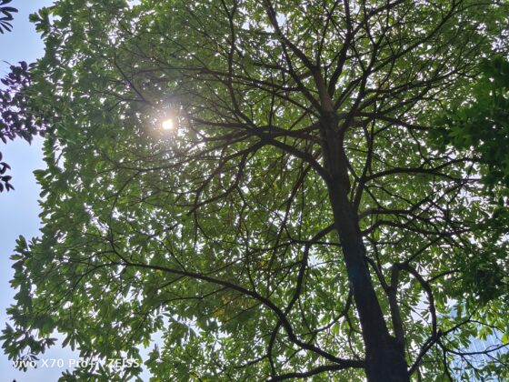 vivo x70 pro plus 2x (14)