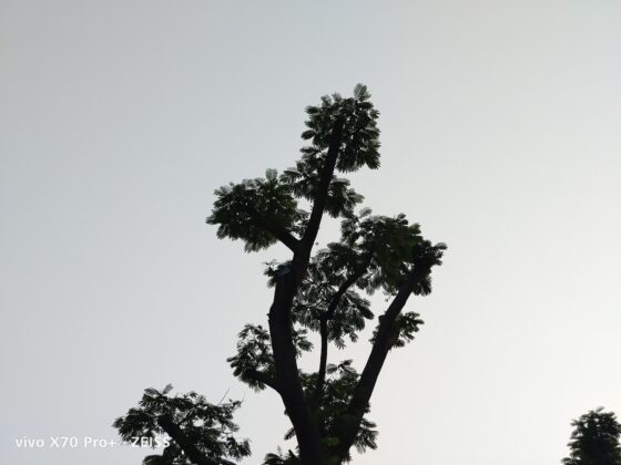 vivo x70 pro plus 2x (4)