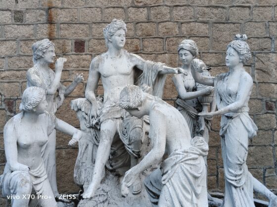 vivo x70 pro plus 2x (5)