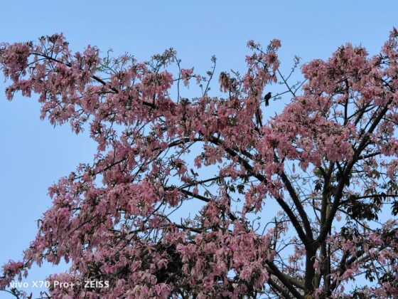 vivo x70 pro plus 3x (2)