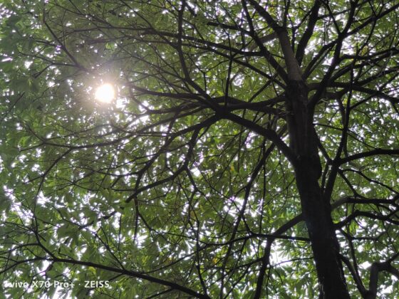 vivo x70 pro plus 3x (13)