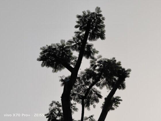 vivo x70 pro plus 3x (3)