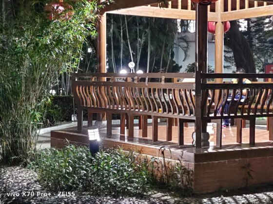 vivo x70 pro plus 3x (9)