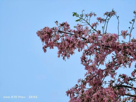 vivo x70 pro plus 5X (1)