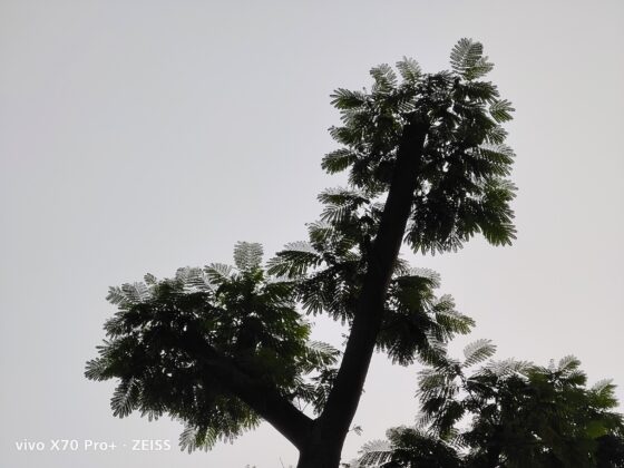 vivo x70 pro plus 5X (2)
