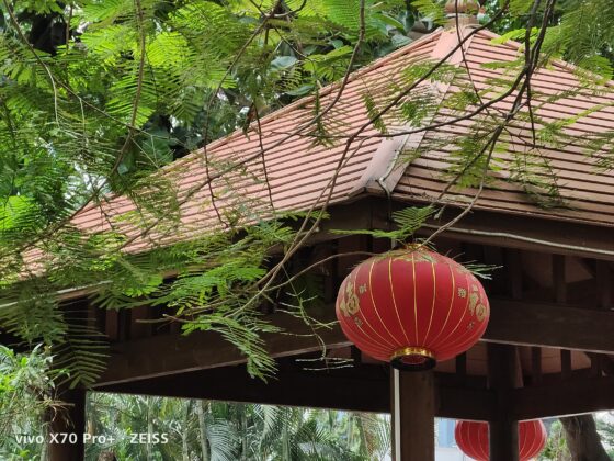 vivo x70 pro plus 5X (5)