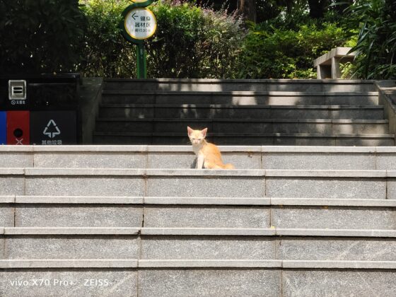 vivo x70 pro plus 5X (7)