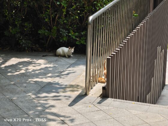 vivo x70 pro plus 5X (8)