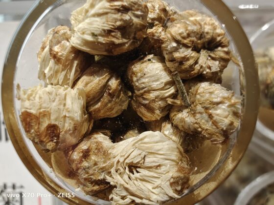 vivo x70 pro plus Macro (2)