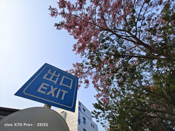 vivo x70 pro plus UW (1)