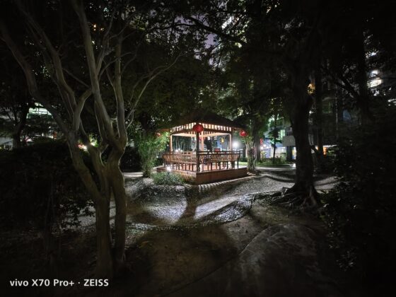 vivo x70 pro plus UW (15)