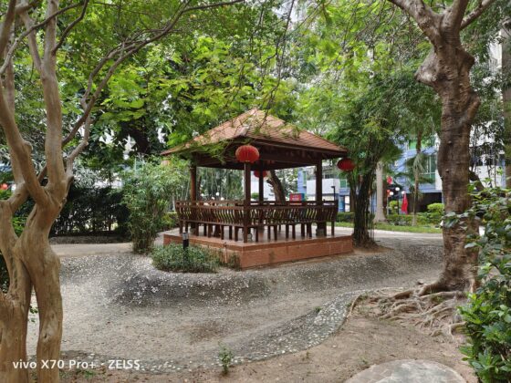 vivo x70 pro plus main (21)