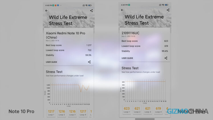 Redmi Note 11 Pro Plus Review Wild Life Extreme