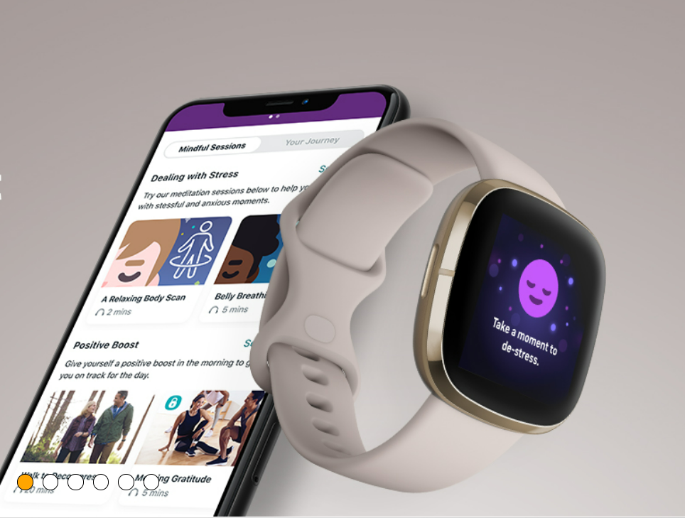 Fitbit Sense Smartwatch 