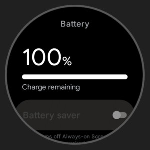 Wear OS 3.0 Emulator Image 02
