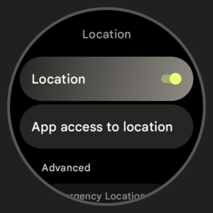 Wear OS 3.0 Emulator Image 04