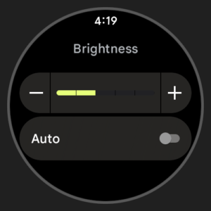 Wear OS 3.0 Emulator Image 05