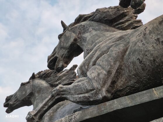 Xiaomi 12 Pro 2X_20220104_173740