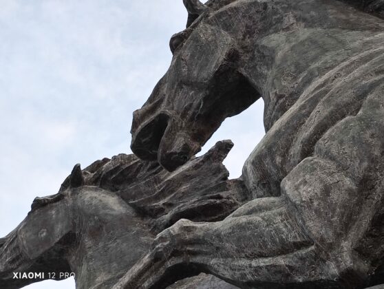 Xiaomi 12 Pro 3X_20220104_174003