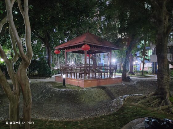 Xiaomi 12 Pro Main Night mode_20220104_193732