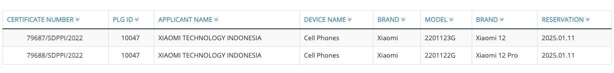 Xiaomi 12