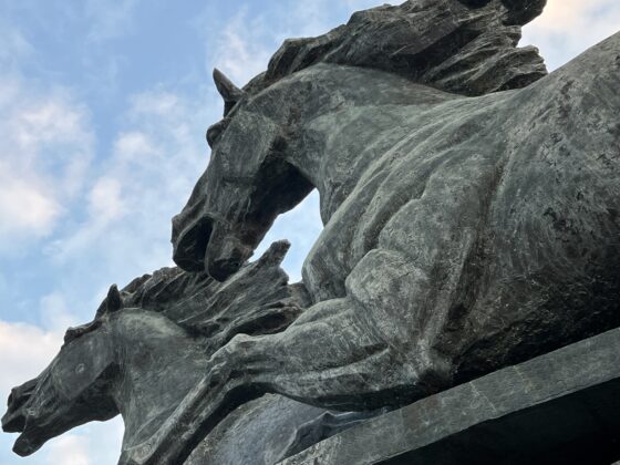 iPhone 13 Pro 2X zoom_0412