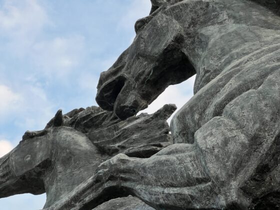 iPhone 13 Pro 3X Zoom_0411