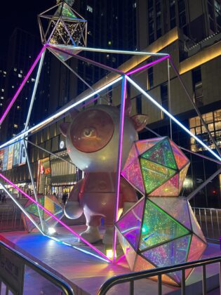 iPhone 13 Pro Main Night_0435