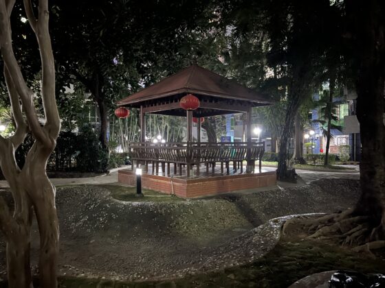 iPhone 13 Pro Main Night_0448