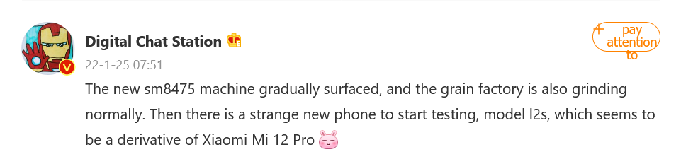 xiaomi 12 pro 12s derivative model dcs