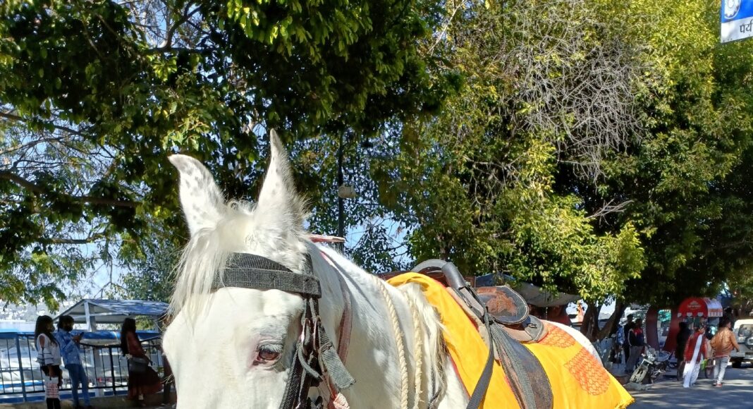 oppo-reno7-5g-day-sample_4