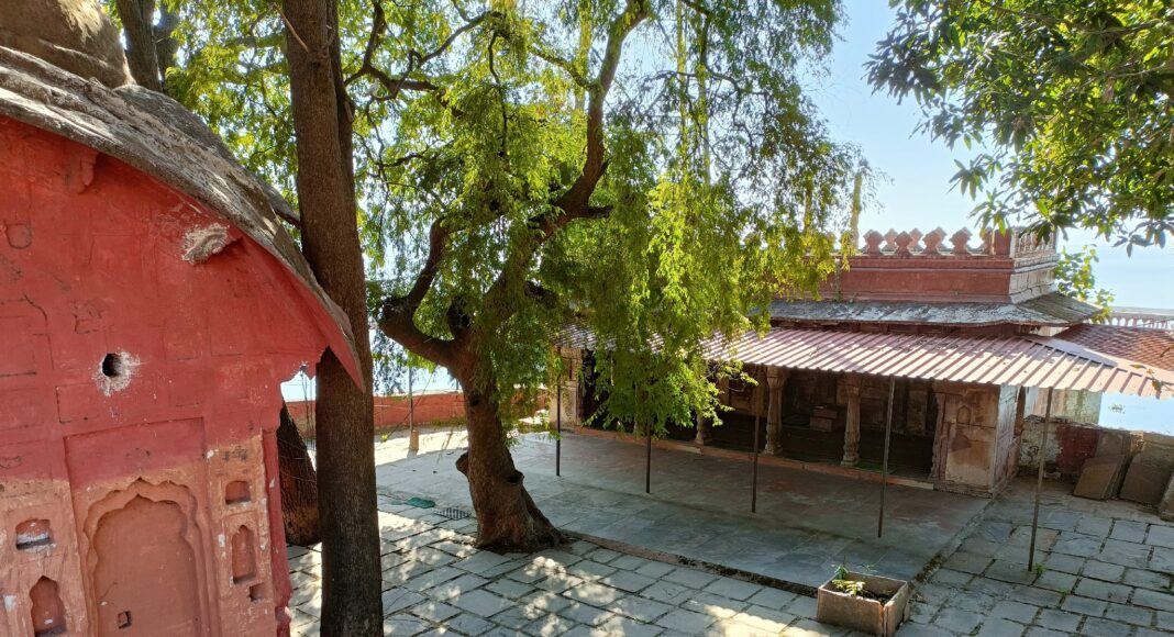 oppo-reno7-5g-day-sample_7