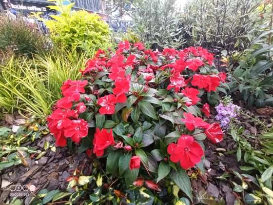 UW Camera - Doogee S980411_163739_979
