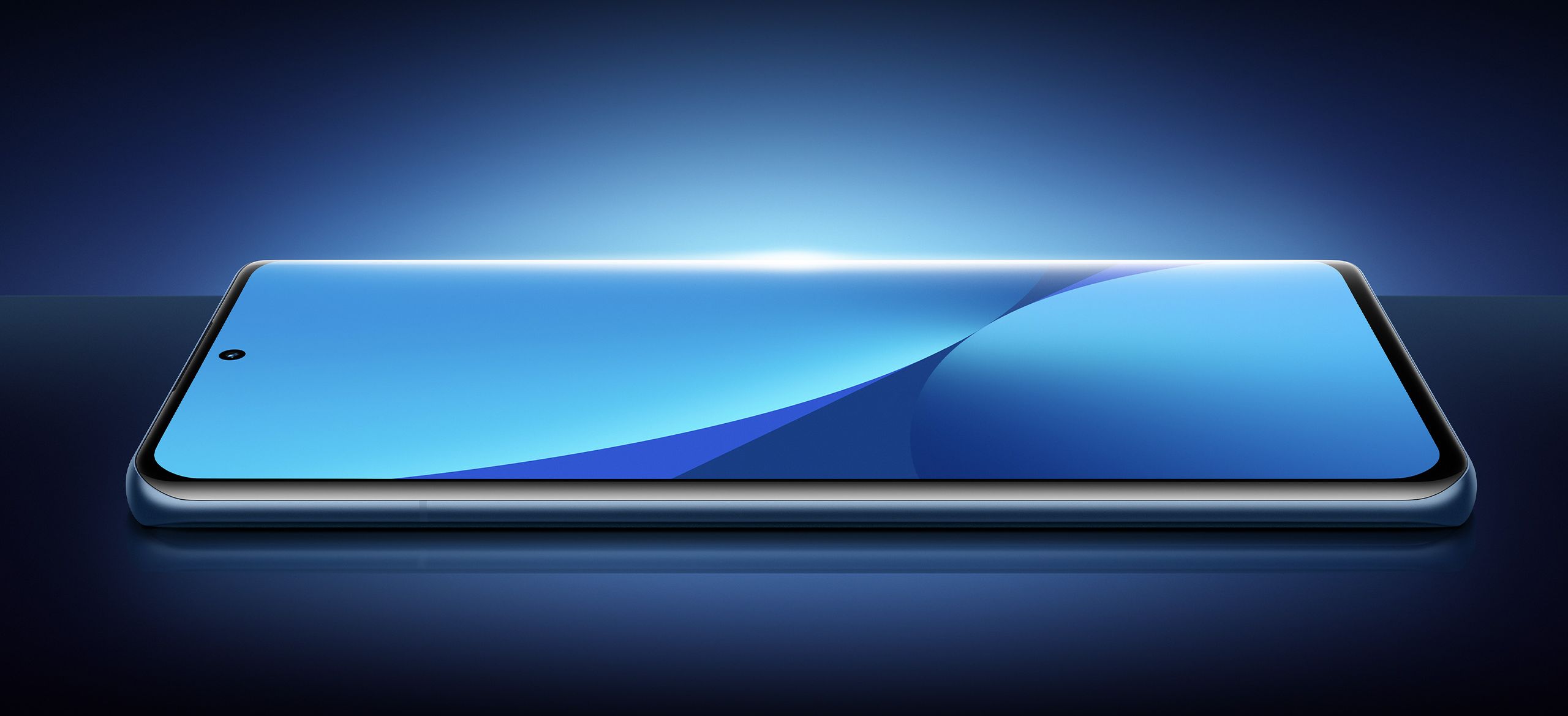 Xiaomi 12 Pro 5G display