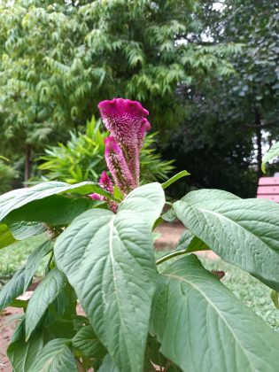 Oppo K10 5G Review